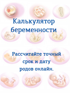 Срок беременности наиболее точен при УЗИ до 7 недель