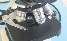 laboratoria02 laboratoria02