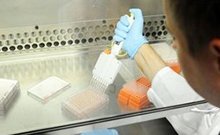 мутация гемостаза что это такое. Смотреть фото мутация гемостаза что это такое. Смотреть картинку мутация гемостаза что это такое. Картинка про мутация гемостаза что это такое. Фото мутация гемостаза что это такое